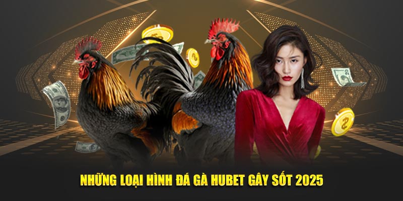 Những loại hình đá gà Hubet gây sốt 2025