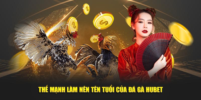 Thế mạnh làm nên tên tuổi của đá gà Hubet