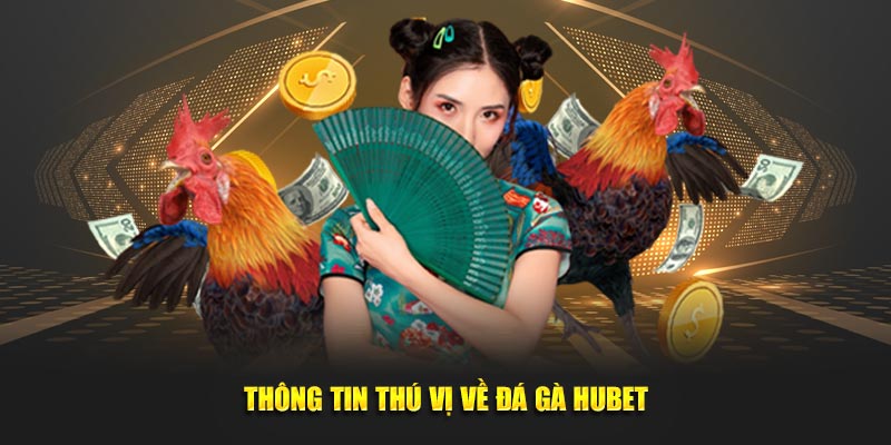 Thông tin thú vị về đá gà Hubet