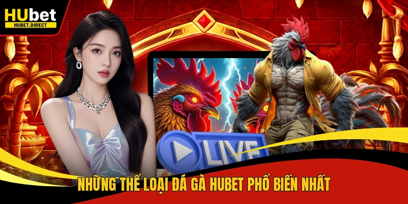 Những thể loại đá gà Hubet phổ biến nhất